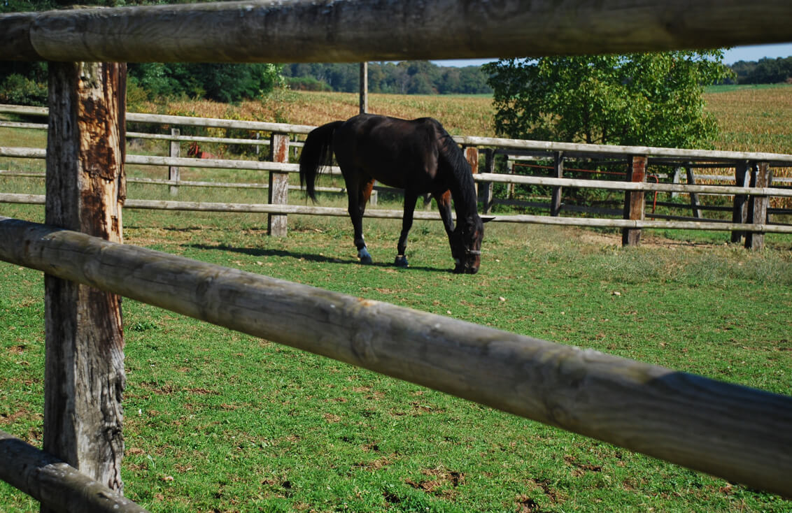 Photographie du paddock