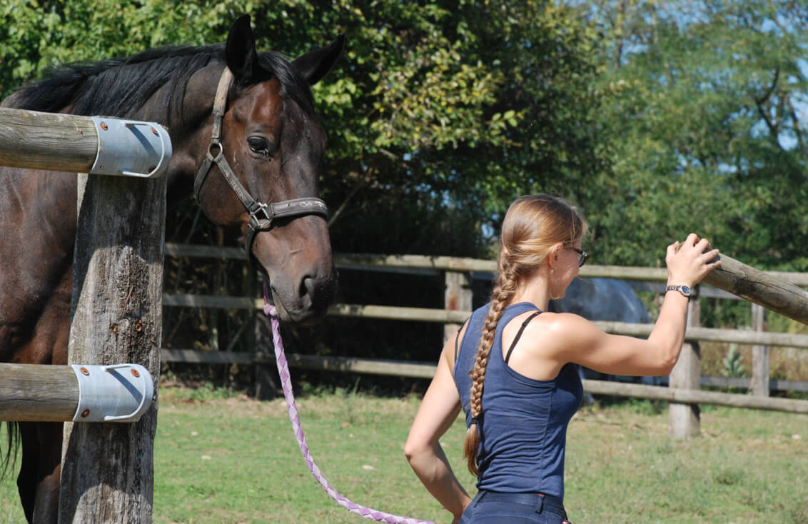 Photographie du paddock